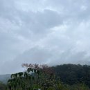 풍천사슴농장 이미지