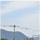 나무부동산중개 이미지