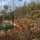 봉화산2농장 이미지