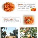 애초롬