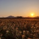 승주국밥 이미지