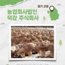 (주)덕강 - 3869 | (주)덕강