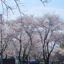 조치원문화정원 카페 앞 이미지