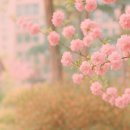 챗GPT와 대화하기(3)