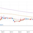 가온메딕스 이미지