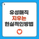 매직 세탁소 | 유성매직지우는법 현실적인 방법 총정리