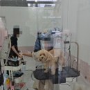 웨그앤코 이미지