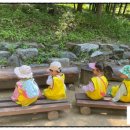 웃는 숲 이미지