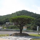 봉산리 소공원 이미지