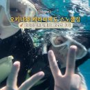 오키나와 케라마제도 스노클링 반나절 투어 후기 준비물 할인예약