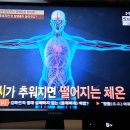 체온저하가 암을/전자파/브래지어/찬물/천기누설/온라인수련/기수련/기치유/자연요법 이미지