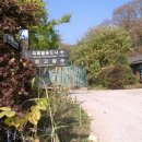 용봉초교 이미지