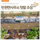 탄천면사무소 이미지