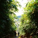 길도(죽도) 네이버블로그