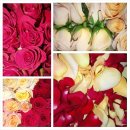 꽃차 소믈리에: 취미반 이미지