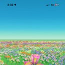 파랑약국 이미지