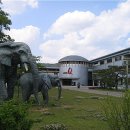 경주대박물관 이미지