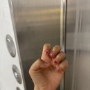 산본 네일샵 '네일 헤이즐리' 내돈내산 재방문 후기(자석네일, 이달의 아트)