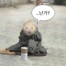 상하이마라탕 이미지