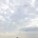 진소농장 이미지