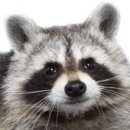 카페정화 이미지