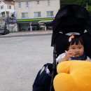 본연가 | 남해여행 독일마을 (feat. 18개월아기여행)