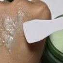 (주)그린케어 | 내 피부를 위한 클린뷰티 '파머시 그린클린 클렌징밤' 사용후기