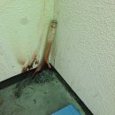 기숙사4층 복도계단 흡연장소내 화재발생안내(확인댓글) 이미지