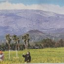 제주자연동물병원 이미지