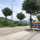 백가네냉면 이미지
