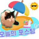 이디야커피울산삼산 이미지