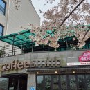 각산동피자맛집 400도화덕피자 &amp; 화덕샌드위치 대구혁신도시1호점