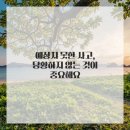 금천 한의원 이미지