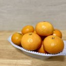 야호농장 이미지