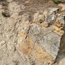 칠포1리 이미지