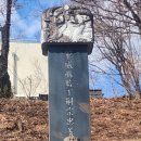 영월읍 금강정 강원일보