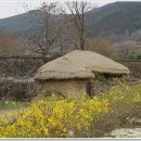 향-고향의 봄 이미지