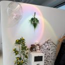 카페버블리 이미지