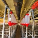 삼우농장 이미지