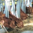 우람농장 이미지