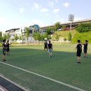 크로스핏 토르 이미지