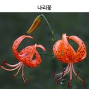 스니르
