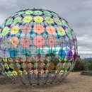 에코중앙로R 이미지