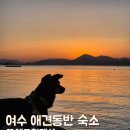 여수 애견동반 숙소 멋진 노을뷰 꿈에그린펜션