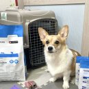 우리 덴탈랩 이미지