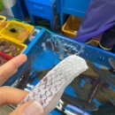 [광안리] 현지인 민락회센터 6번 회포장 “여수상회” 참돔유비끼 존맛탱