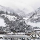 설국 - 서초구 서초중앙로24길 3 | 설국