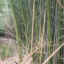 달보드레민박 이미지