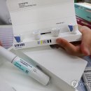 위고비 8개월 만에 40만건 처방…비만치료제 시장 급성장 이미지