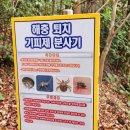 서호동-43 | [공지] 제주 서귀포 가볼 만한 곳 고근산/ 제주 일출 명소